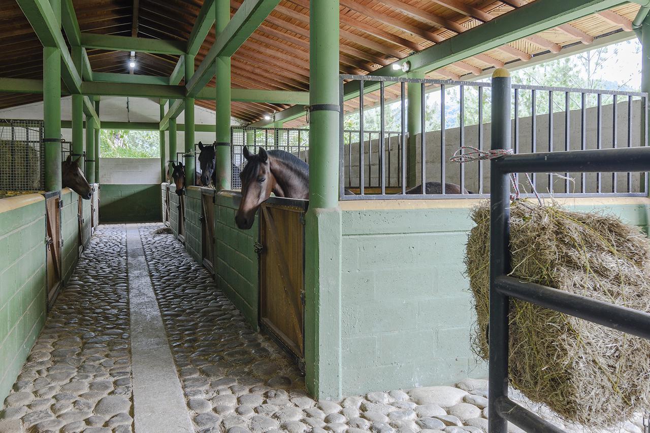 Finca Boutique El Diamante Salgar  Ngoại thất bức ảnh