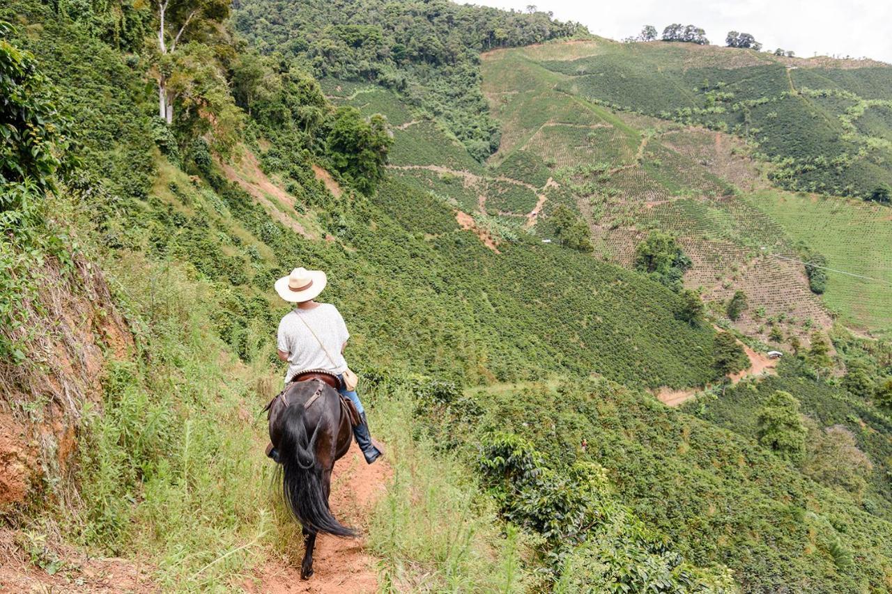 Finca Boutique El Diamante Salgar  Ngoại thất bức ảnh